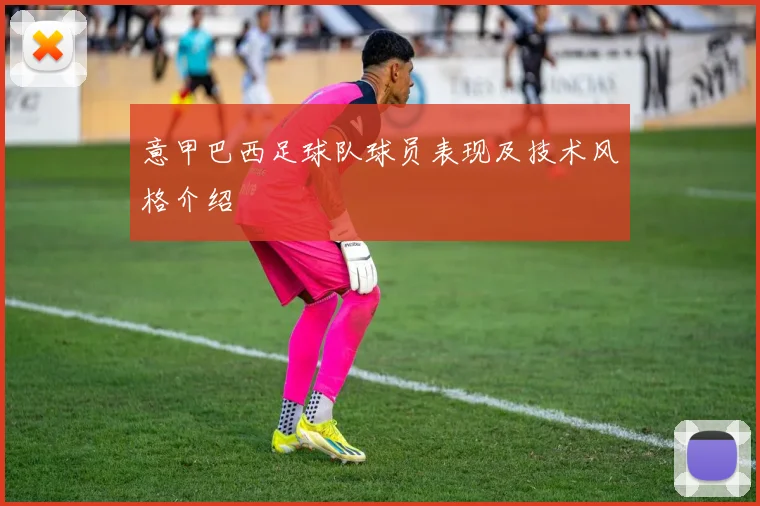 意甲巴西足球队球员表现及技术风格介绍