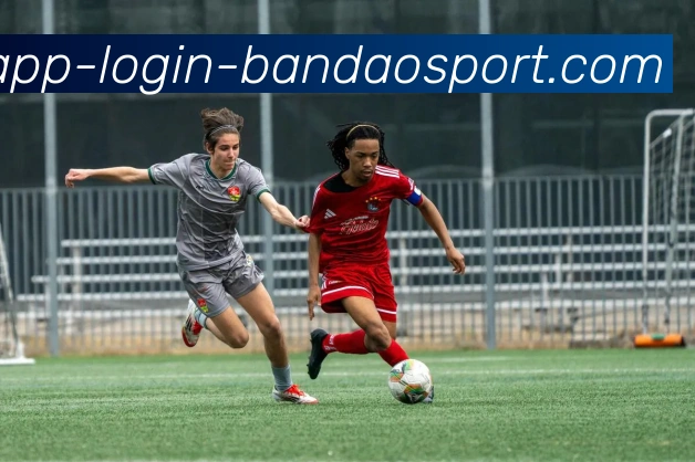 半岛体育品牌故事