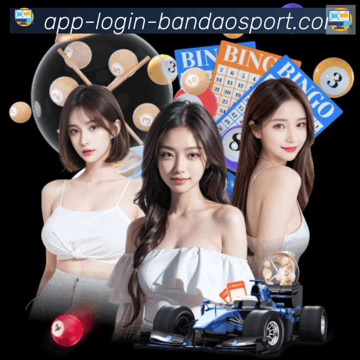 未来规划